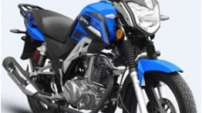 BORNOVA MOTOR